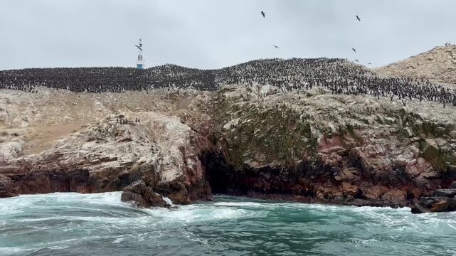 Massive Seabird Colony on Rocky Cliffs of Ballestas Islands in Peru
