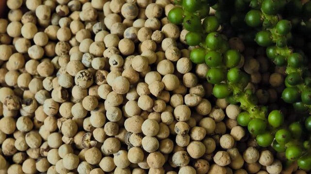 Peppercorns in a Wooden Bowl