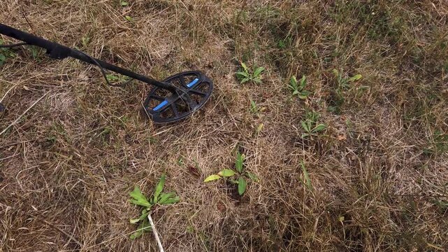 Treasure hunter with metal detector search treasure in field 