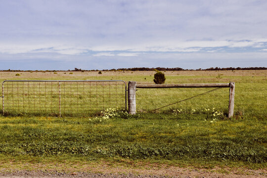 rural landscape with fence and gate to field