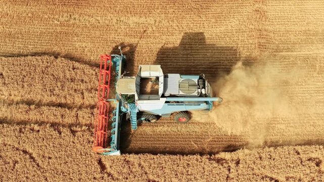 Dust cloud following combine harvester harvesting mature wheat across cultivated farmland. Fresh straw rows covering harvested field after grain collection. Agricultural machinery seasonal harvest and