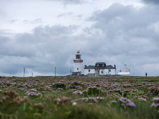 Lighthouse stands tall on grassy hill under cloudy sky. Purple flowers blanket the foreground in soft, wild abundance. Lone figure walks far away, dwarfed by the landscape © ANTONIO