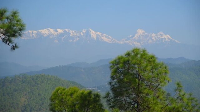 Snow-Covered Himalayas Beyond Layered Pine Forest Ridges From Kasar Devi, Almora
