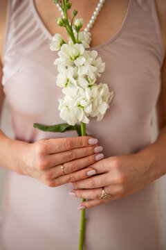 Female hands holding a white matthiola flower against a pink silk dress