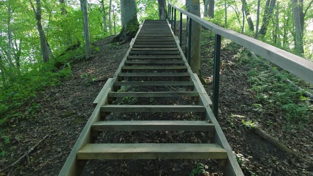 Walking up wooden stairs on a hiking trail in green forest