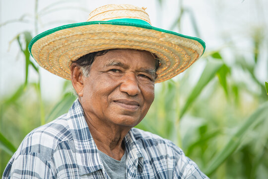 Portrait smiling mature older man farmer wearing hat is happy. Elderly asian man standing in a shirt and looking at camera in corn field.