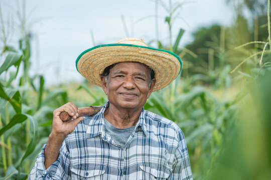 Portrait of old man farmer wearing a straw hat, looking at the camera, happy smile while standing backdrop of a cornfield.
