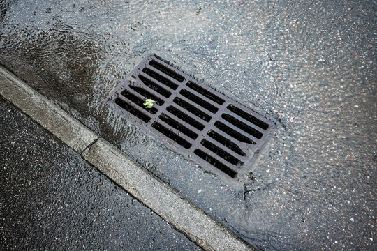 Storm drain grate on wet asphalt street during rainfall with rippling puddle water.
