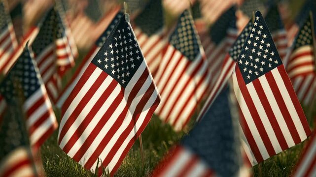 Honoring Veterans Day with American flags displayed in a field