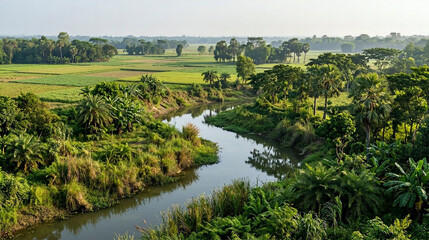 Fototapeta premium Aerial View of Winding River Through Lush Green Farmland and Tropical Vegetation