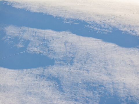 Animal tracks on a vast snowy landscape