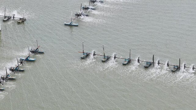 An aerial view of aerators in a shrimp farm pond captured by a drone camera.
