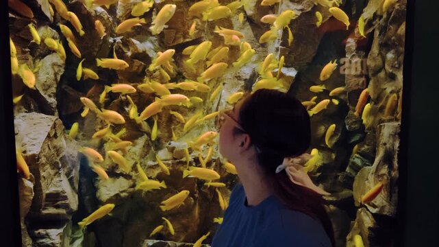 A young Latina woman with glasses stands in front of a large aquarium tank filled with many vibrant yellow fish. The camera zooms out, revealing her wonder and fascination as she watches the fish swim