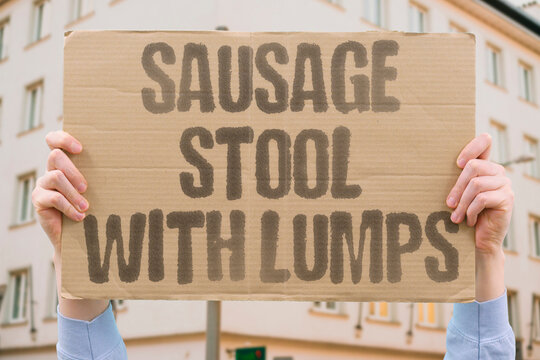 "Sausage stool with lumps" Sausage stool with lumps, mild constipation. TYPE2. CRACKED. STOOL. LUMPY. CONSTIPATION.