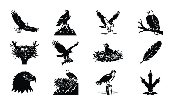 Eagle Icons Set, Majestic Birds of Prey Vector Collection, Wildlife Symbols, Nature Elements, Graphic Resources for Design