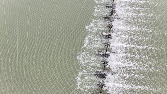 An aerial view of aerators in a shrimp farm pond captured by a drone camera.