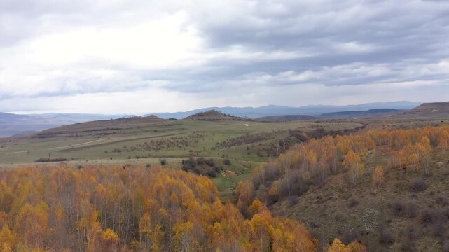 Vibrant autumn forest cover on rolling hills aerial view
