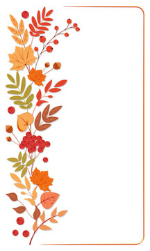 Autumn vertical border with maple leaves and rowan berries. Fall foliage frame for card, poster, banner design. Thanksgiving, harvest. Blank page template. Vector illustration, isolated on white.