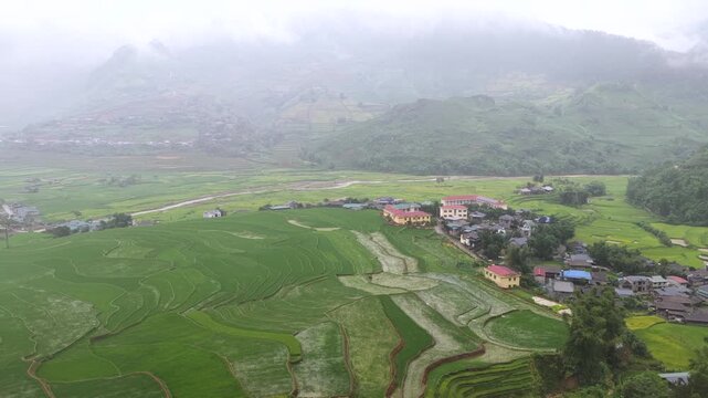 Aerial drone view of lush green terraced rice fields in the mist-covered mountains of Tu Le, Vietnam.