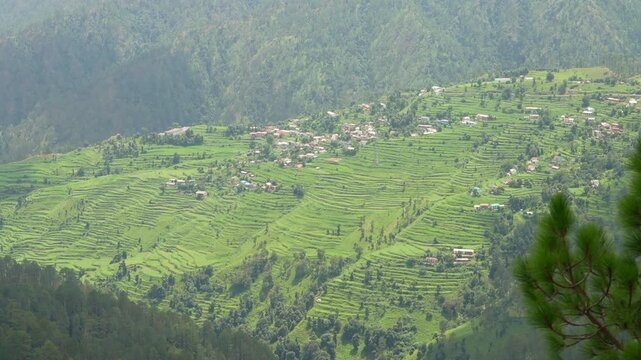 Terraced Farms and Remote Hill Village Seen From Badhangarhi Trek Near Gwaldam, Uttarakhand