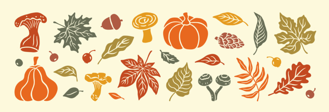 Autumn hand drawn set elements. Silhouette fall leaves, pumpkin, mushroom, leaf maple, berry, acorn, oak. Thanksgiving day. Forest nature. Fall plant vintage cut out paper icon. Vector illustration.