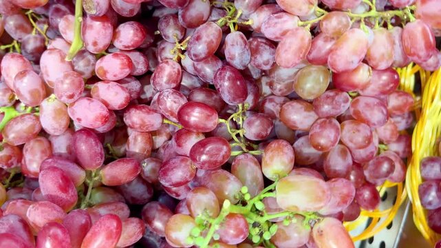 Assorted Fresh Grape Varieties on Supermarket Shelf &ndash; Green, Red and Black Seedless and Seeded Grapes in Different Sizes and Colors