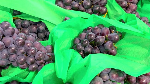 Assorted Fresh Grape Varieties on Supermarket Shelf &ndash; Green, Red and Black Seedless and Seeded Grapes in Different Sizes and Colors