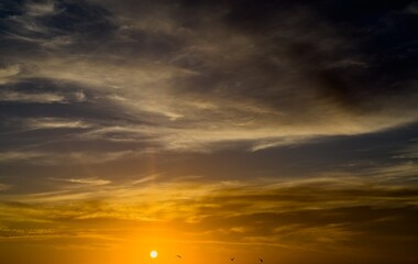 Fototapeta premium Sunset sea ocean beach horizon sky twilight dusk reflection tranquil sunset sea ocean beach horizon sky twilight dusk reflection tranquil mood serene light calm water wave sand shore evening