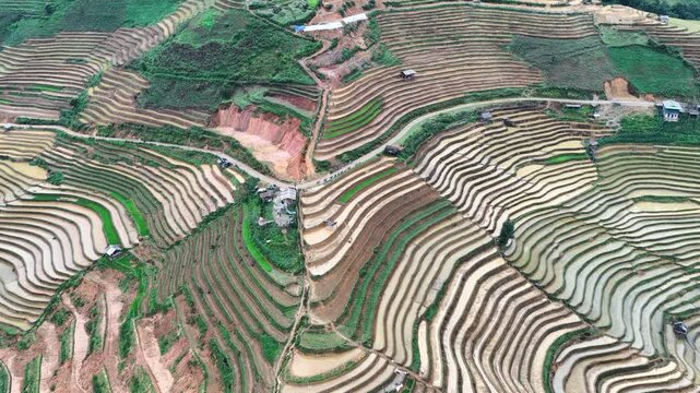 Aerial drone view of flooded terraced rice fields in Mu Cang Chai Vietnam