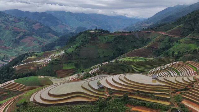 Aerial drone view of lush terraced rice fields and traditional wooden huts in Mu Cang Chai Vietnam