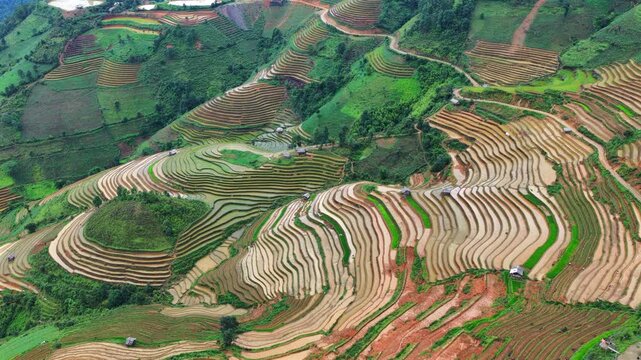 Aerial drone view of flooded terraced rice fields in Mu Cang Chai Vietnam