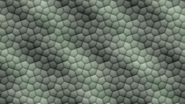 Cairo Pentagonal Tiling Flexing Through Its One Degree of Freedom Abstract Background Seamless Loop in deep green tones