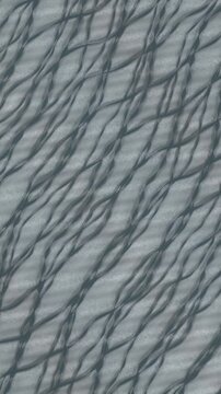 Braided River Channels Shifting Across a Pale Gravel Flat, Aerial Top Down Seamless Loop in bright grey tones vertical 9:16