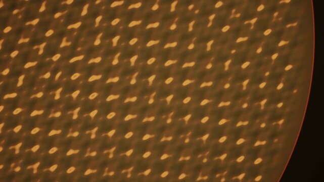Faraday Wave Instability Subharmonic Square Lattice on Vibrating Liquid Metal Seamless Loop in rich gold tones
