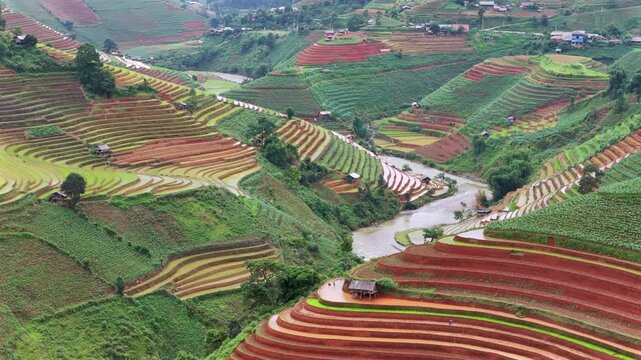 Aerial drone view of morning light over terraced rice fields in Mu Cang Chai Vietnam
