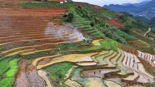 Aerial drone view of morning light over terraced rice fields in Mu Cang Chai Vietnam