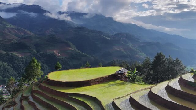 Aerial drone view of golden hour light over terraced rice fields in Mu Cang Chai Vietnam