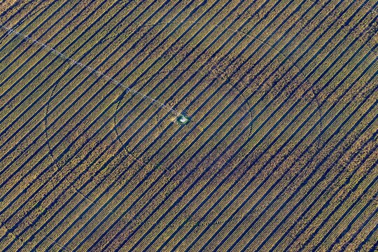 Aerial view of a large solar farm with rows of photovoltaic panels arranged in a circular pattern in the countryside of Bantzenheim, Grand Est, France.