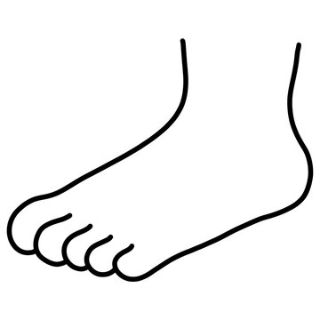 cartoon illustration outline of a human foot and toes 
