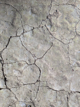 dry cracked ground