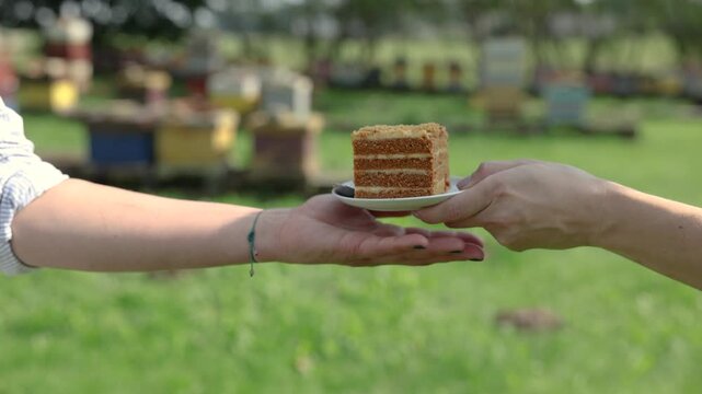 Two people pass a plate with a slice of layered cake outdoors, with colorful beehives softly blurred in the sunny green background and ample copy space