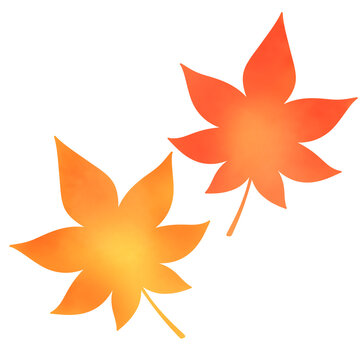 赤と橙色の二枚の紅葉のイラスト