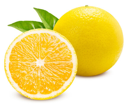 Fresh Yellow Orange isolated on white background, Orange fruit with clipping path, High resolution for beverage marketing, citrus-flavored product branding, and premium food packaging design.