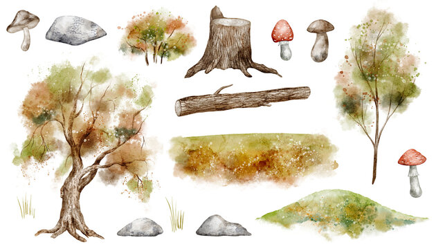 Autumn landscape watercolor illustration set with trees, mushrooms, stones, grass and forest elements isolated on background. Woodland nature clipart collection for fall and seasonal designs.
