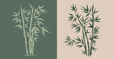 Naklejka premium Bamboo tree set, Hand drawn style. 