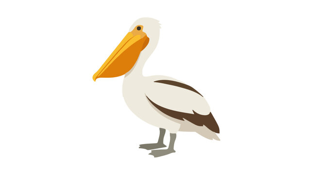 White pelican bird with large yellow beak standing on a plain background, minimal wildlife concept design