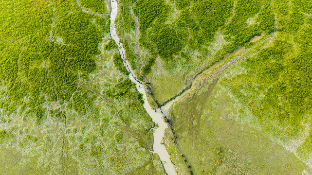 Aerial view of the lush green mangrove forest of the Sundarbans with a winding river channel flowing through the dense vegetation in Bagerhat, Khulna Division, Bangladesh.