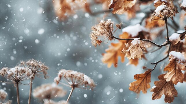 Snow falls gently on dried plants in a winter scene surrounded by soft blurred colors