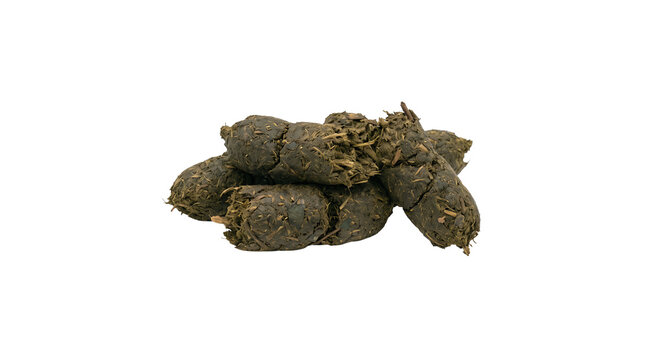 Animal dung pile with fibrous plant material isolated on transparent background, stacked droppings showing texture and organic composition for ecological study