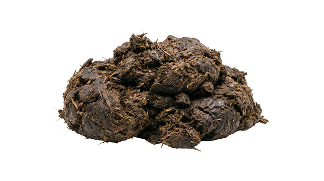 Pile of animal dung manure on transparent background for agriculture compost fertilizer concept, rural farm material and organic soil amendment study